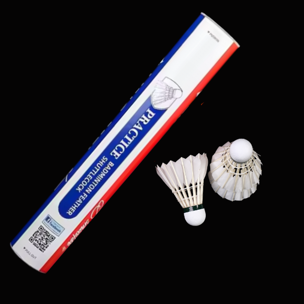 LINGMEI PRACTICE – Shuttlecock