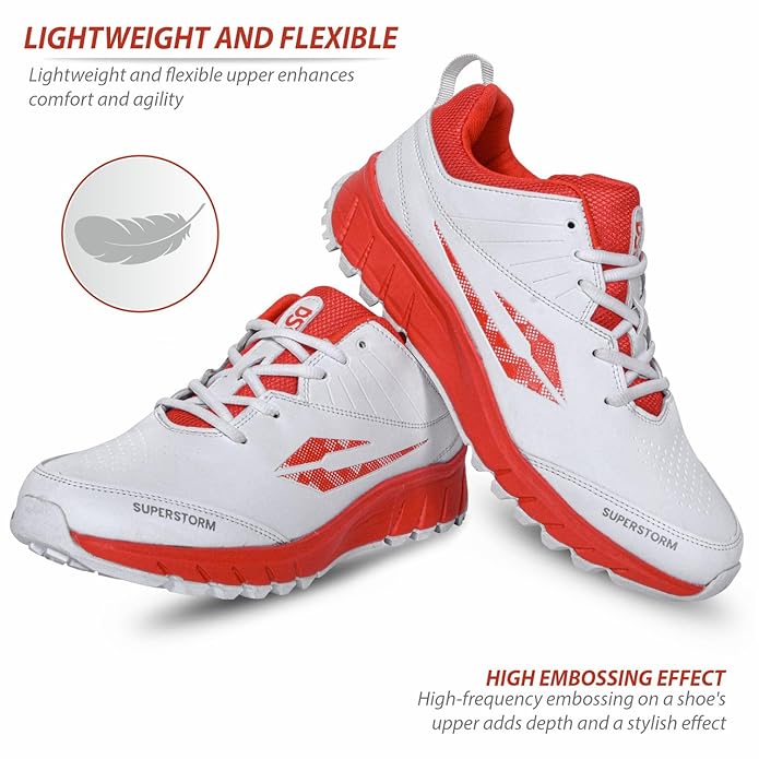 DSC Superstorm Cricket Shoes