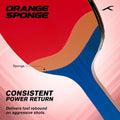 Hundred Force 5 Table Tennis Racket - Full view