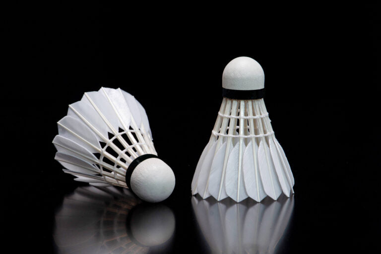 LEELIN 80 Goose Feather Shuttlecock - LL80