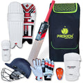 Prokick Megakit Kashmir Willow Full Cricket Kit with Helmet