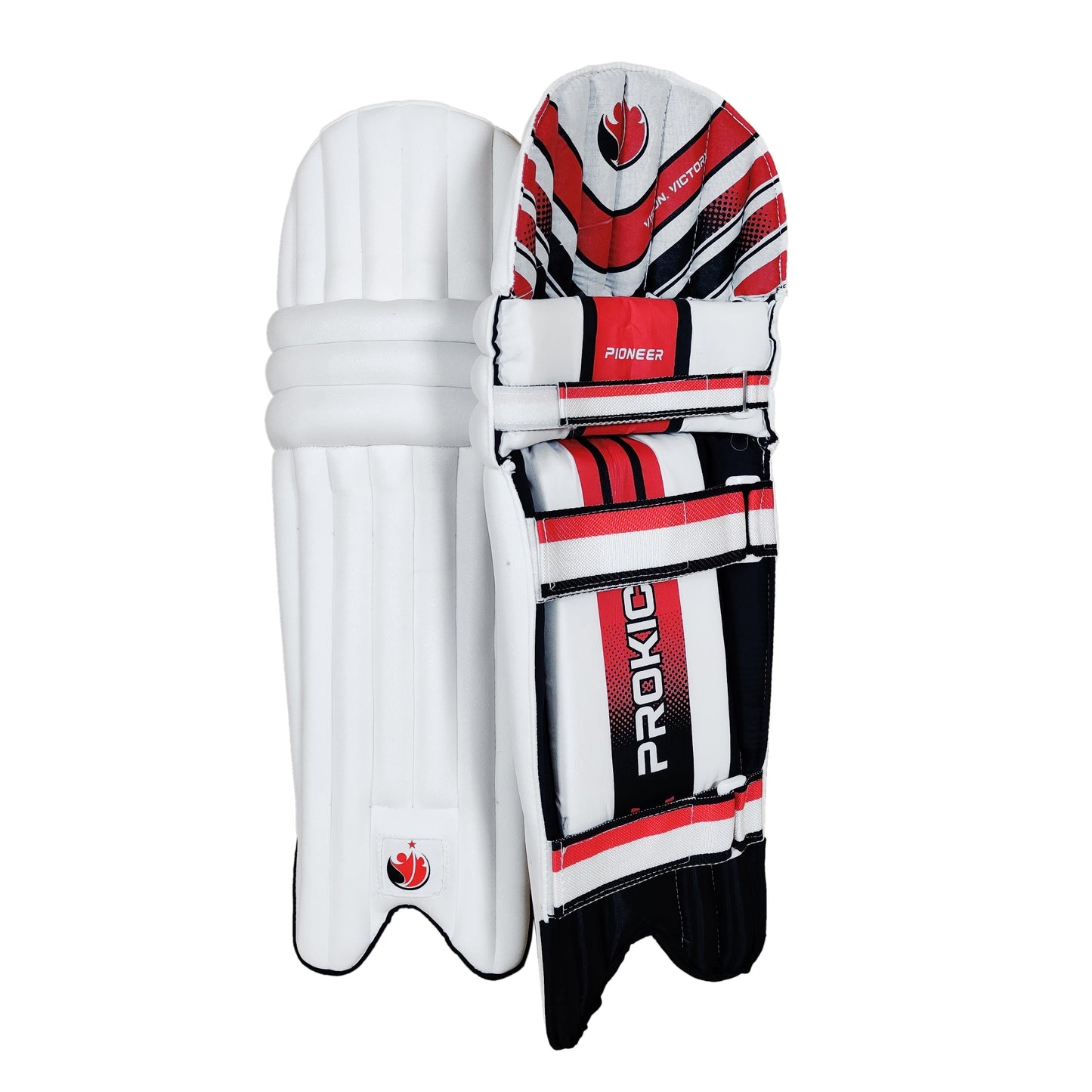 Prokick Megakit Kashmir Willow Full Cricket Kit with Helmet
